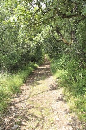 IMG_0185_out.jpg